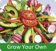 Grow Your Own